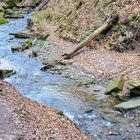 Hörschbachschlucht bei Murrhardt - 30.03.2018