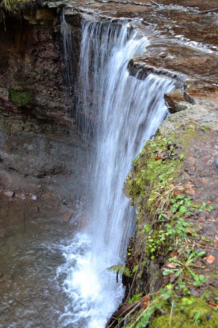 Hörschbachschlucht bei Murrhardt