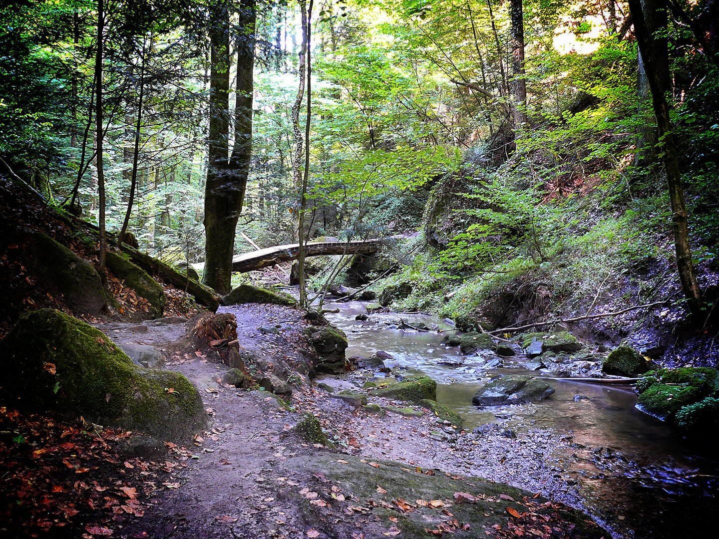 Hörschbachschlucht