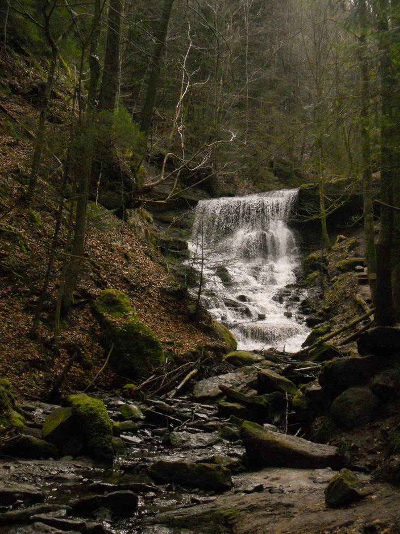 Hörschbachschlucht Murrhardt 05  - 30.03.2018