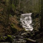 Hörschbachschlucht Murrhardt 05  - 30.03.2018