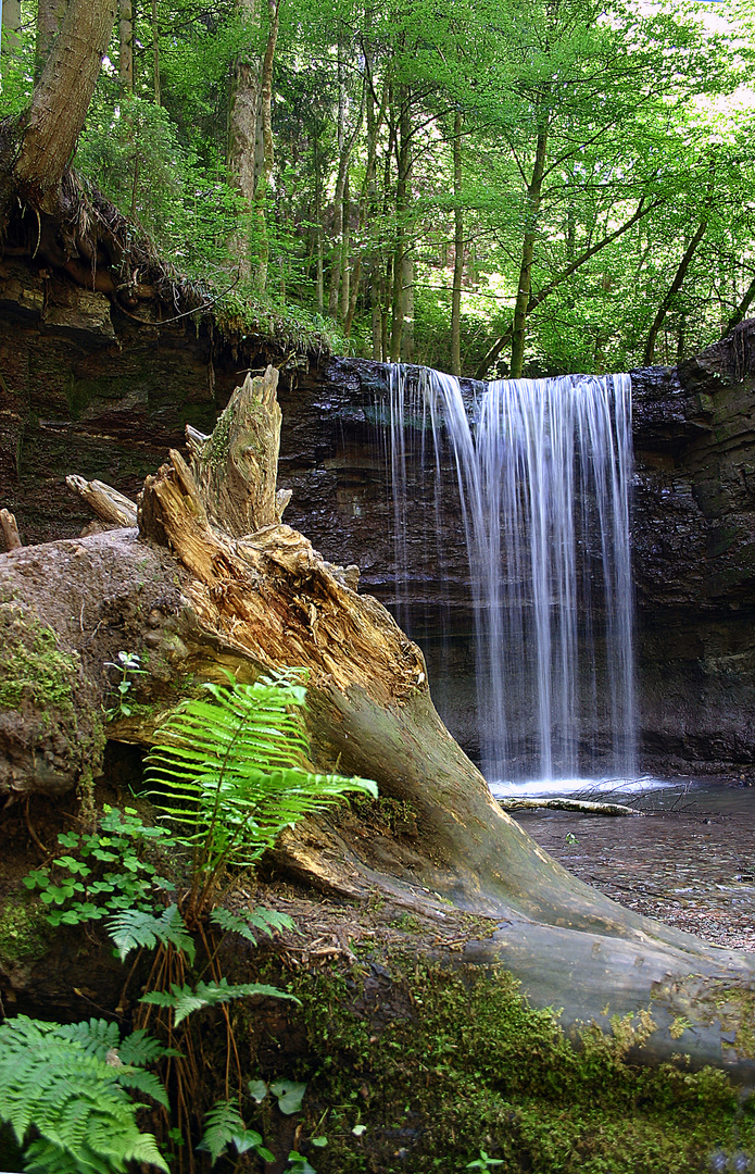 Hörschbachwasserfall bei Murrhardt