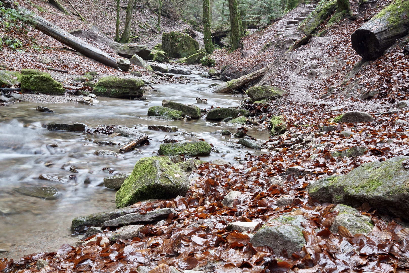 Hörschbachwasserfall Murrhardt