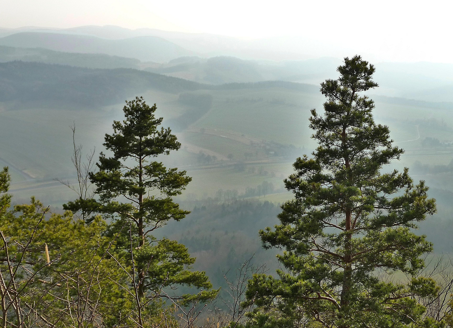 Hörselbergblick1