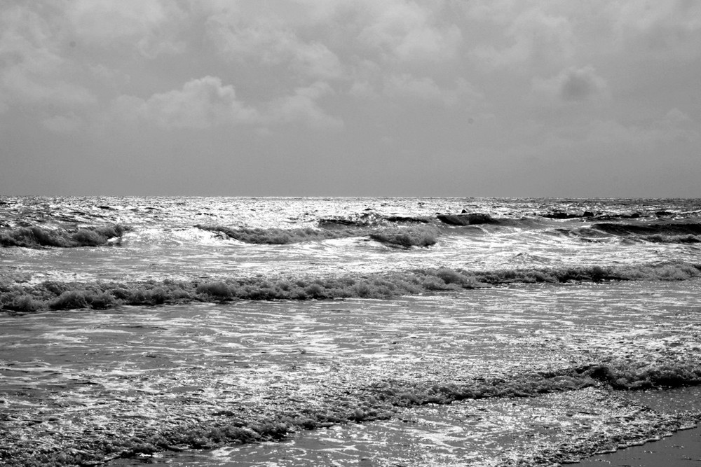 Hört ihr das Meer rauschen???