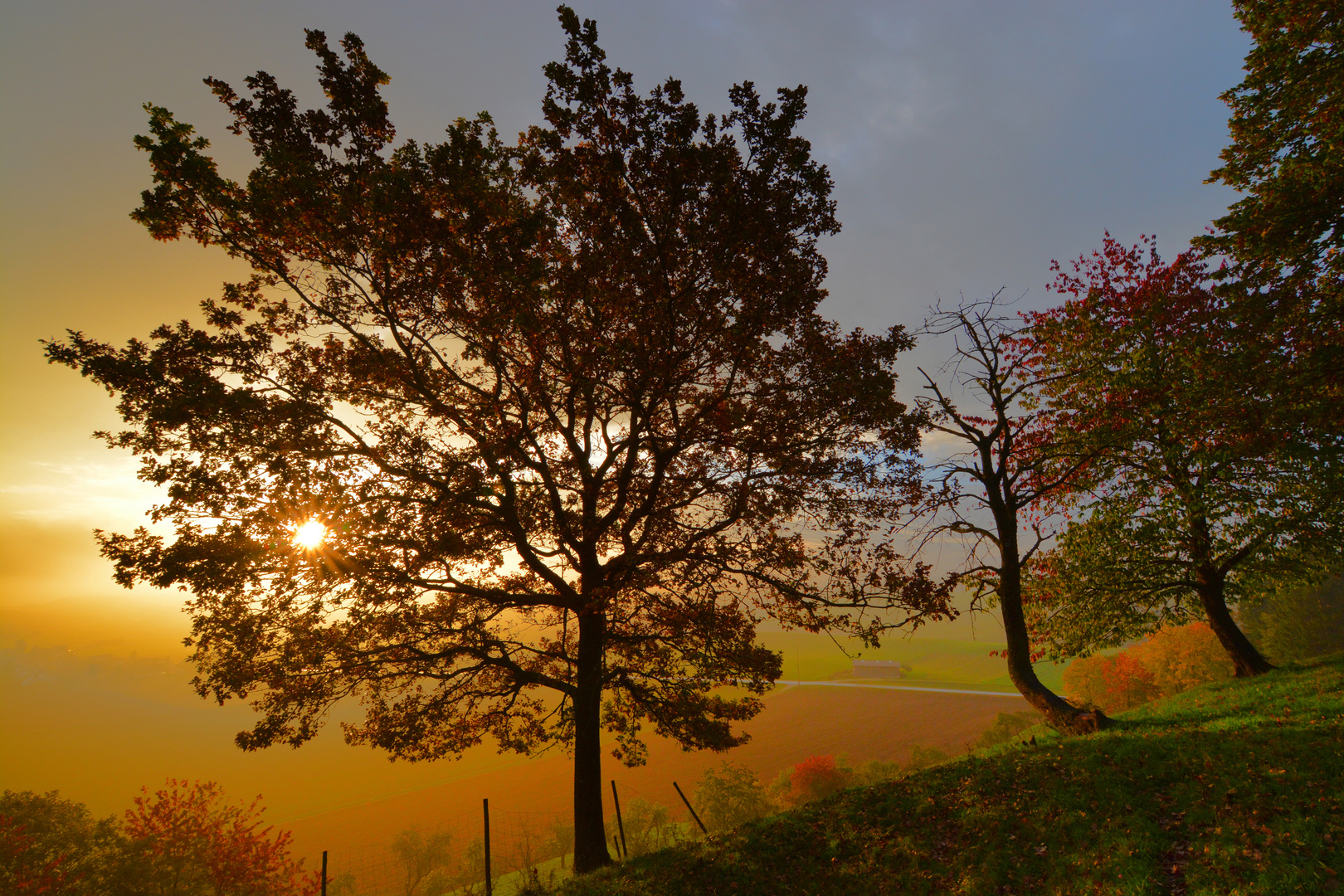 Hörvelsingen im Herbst