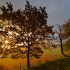 Hörvelsingen im Herbst