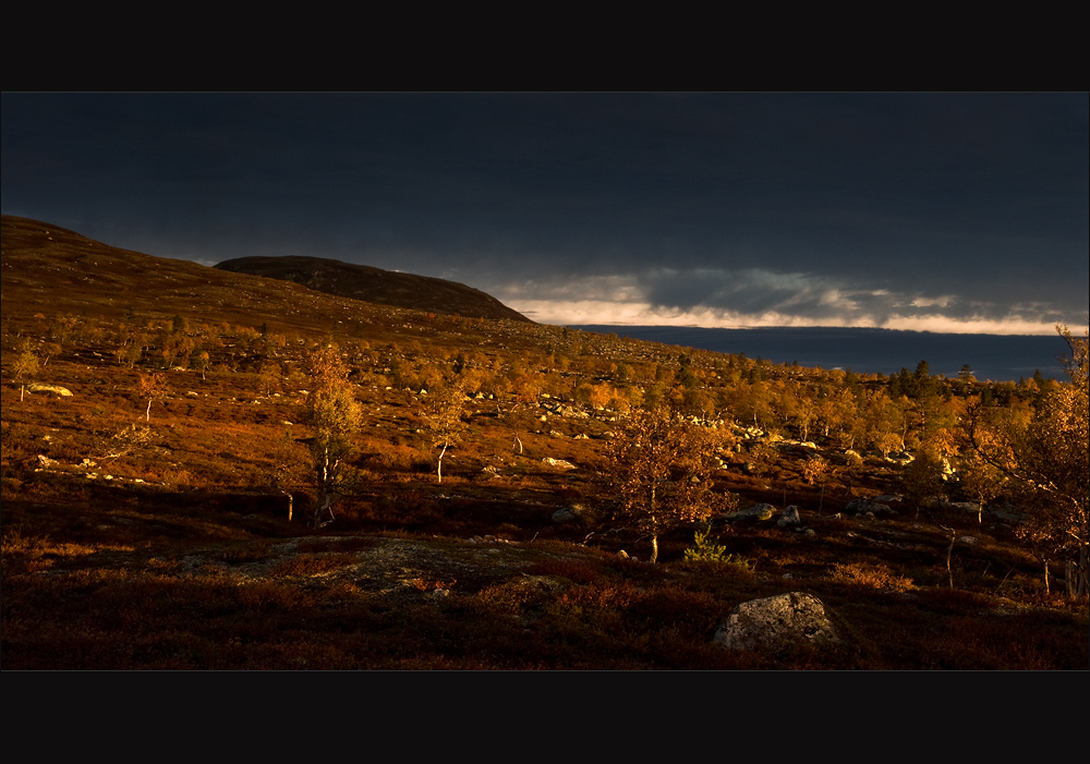 höst på fjället