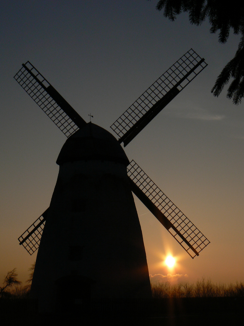 Höxbergmühle in Beckum