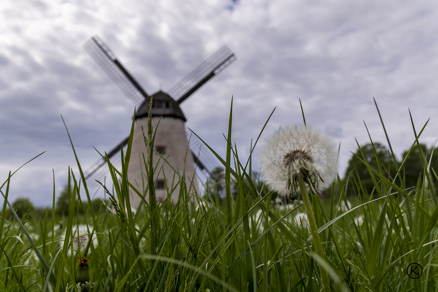 Höxbergmühle_0045