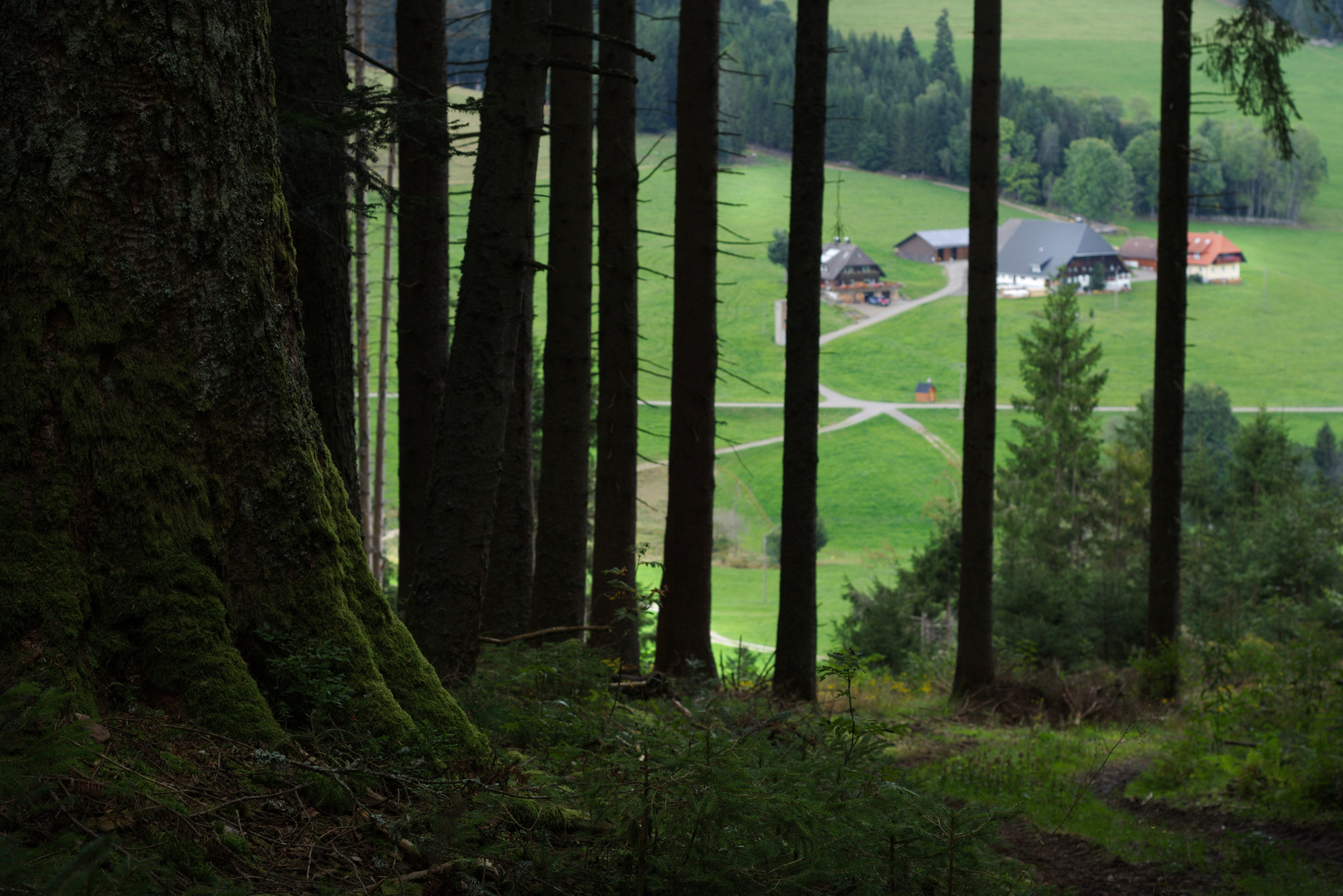 Hof-Anblick