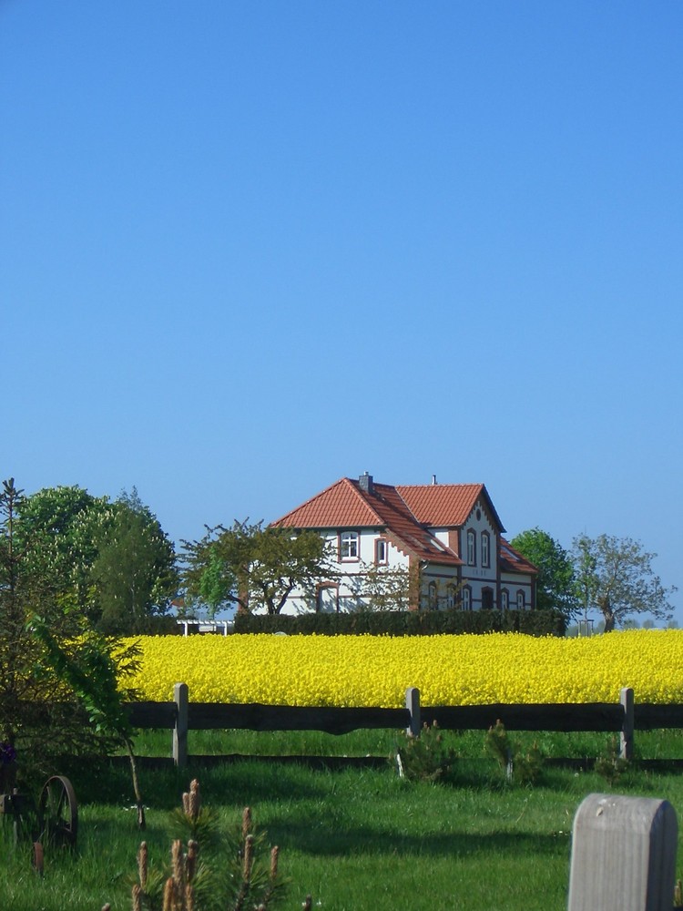 Hof auf Poel (Meck.-Pom.)