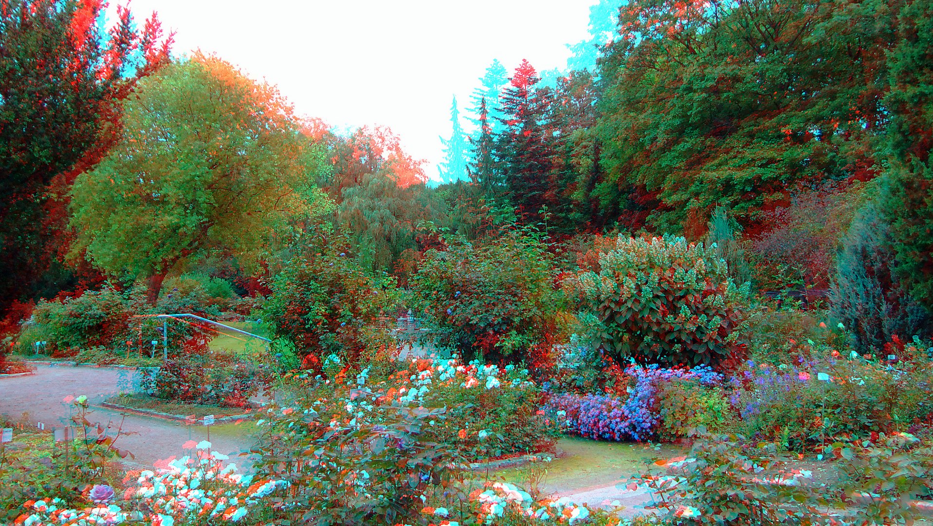 Hof - Botanischer Garten 1 - 3D