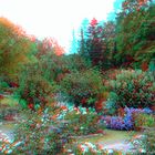 Hof - Botanischer Garten 1 - 3D