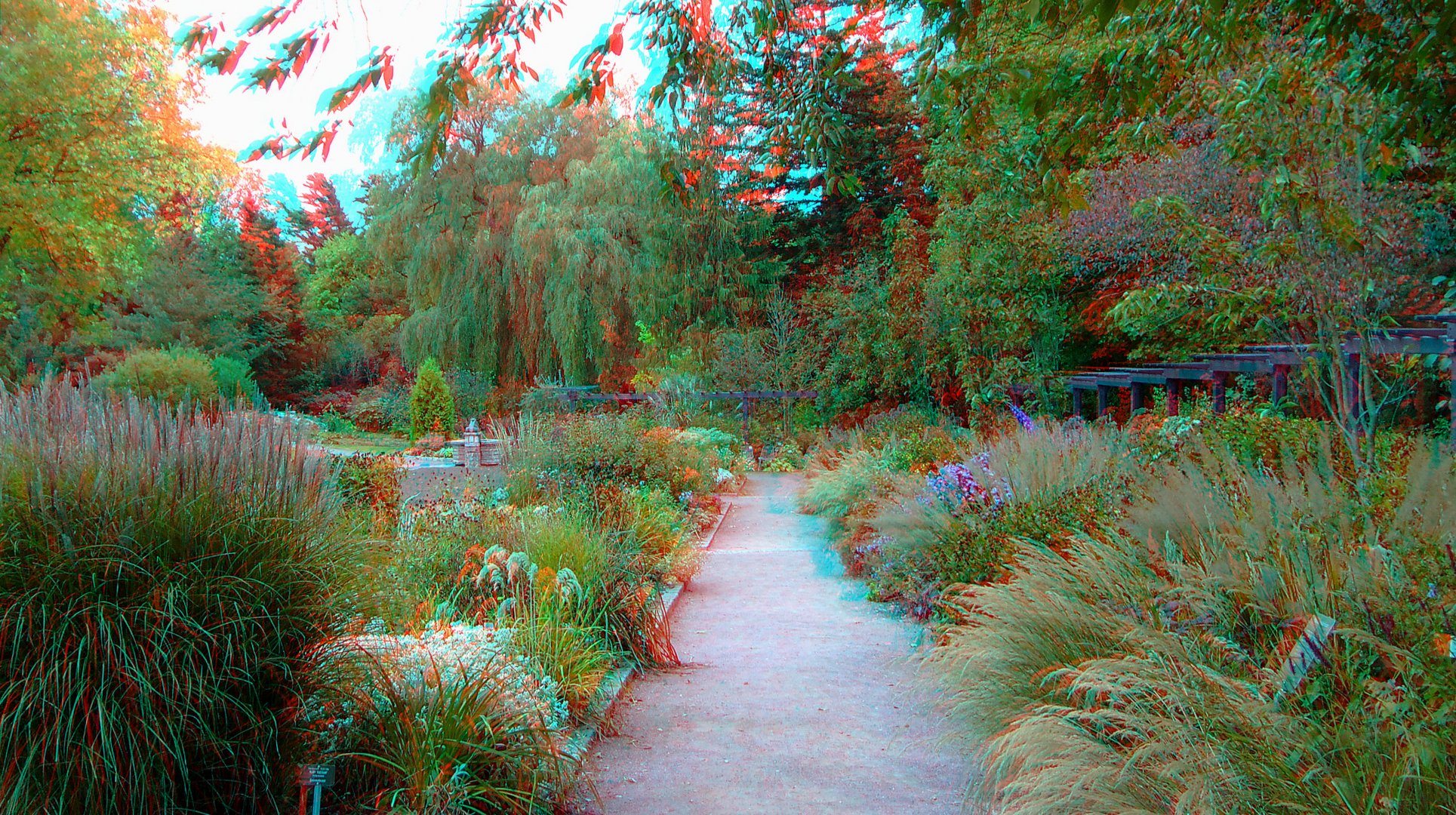 Hof - Botanischer Garten 2 - 3D