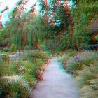 Hof - Botanischer Garten 2 - 3D