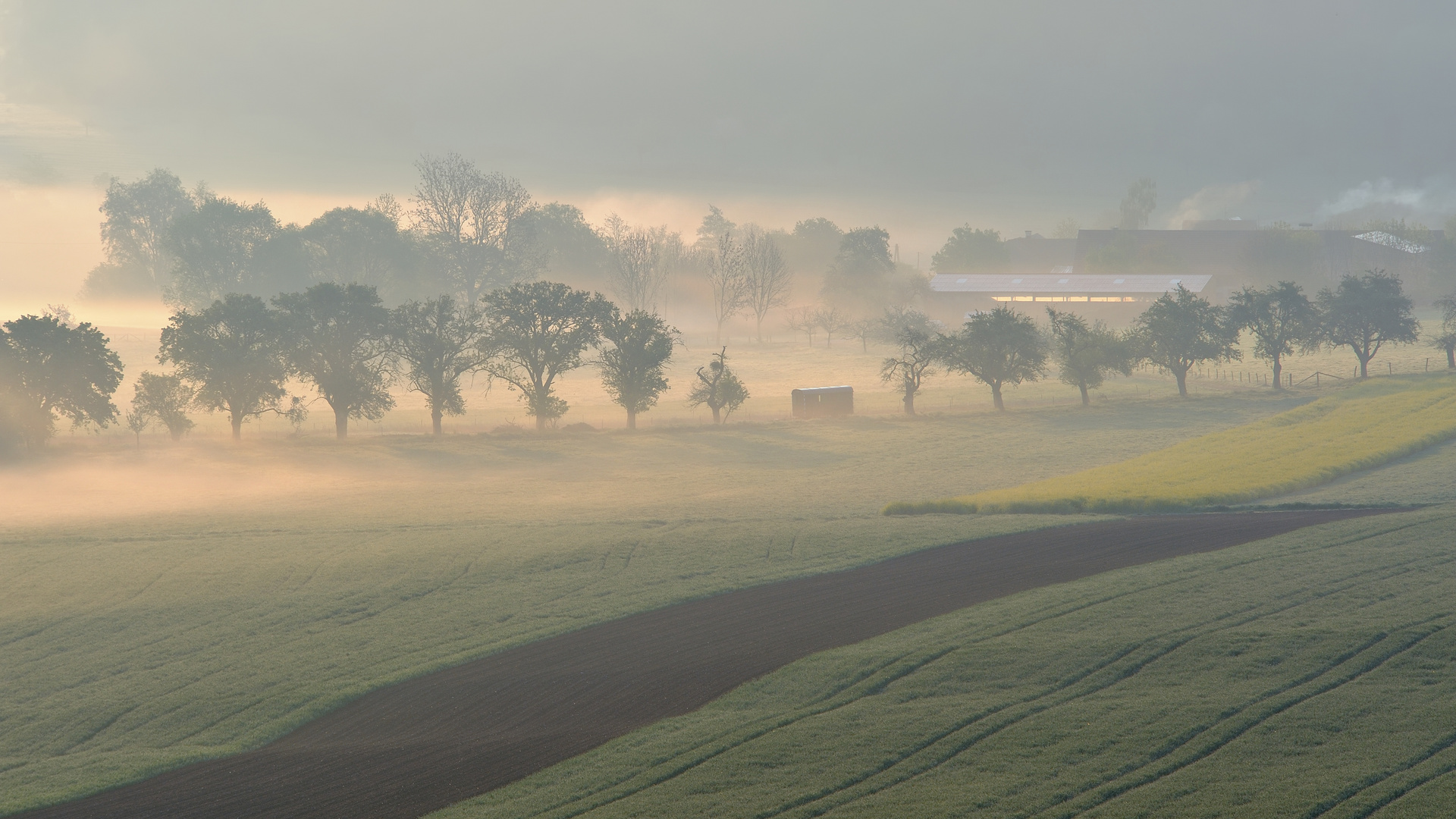 *Hof Breit im Morgennebel*