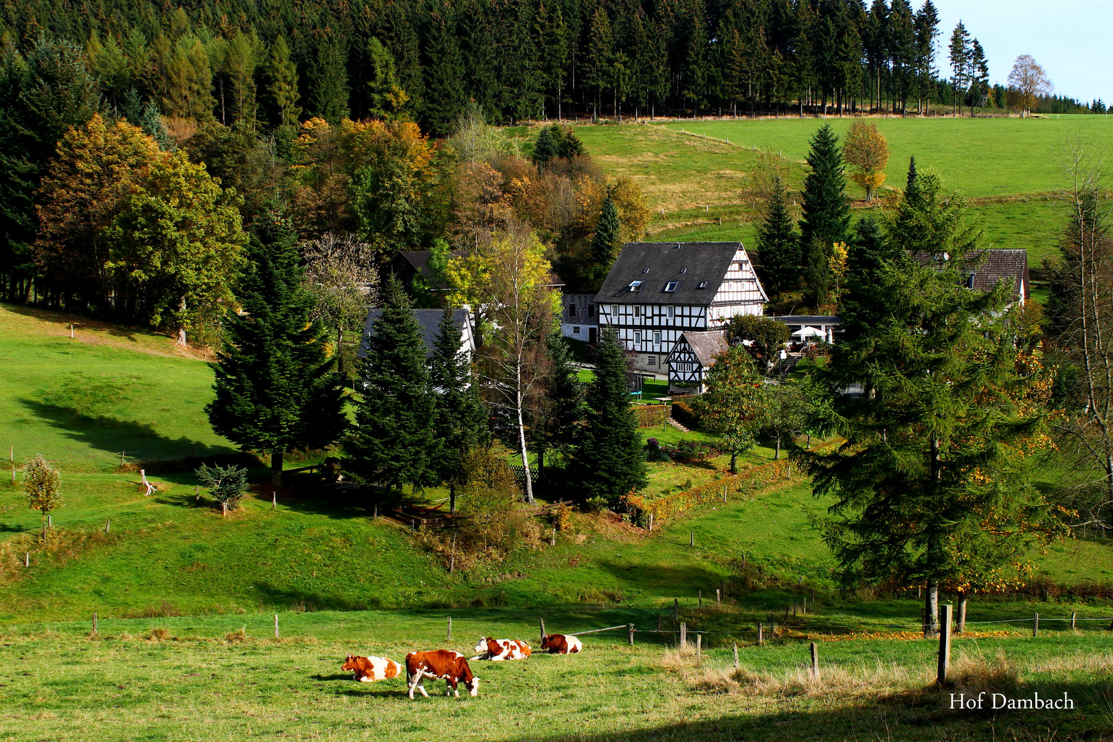 Hof Dambach, Wittgenstein