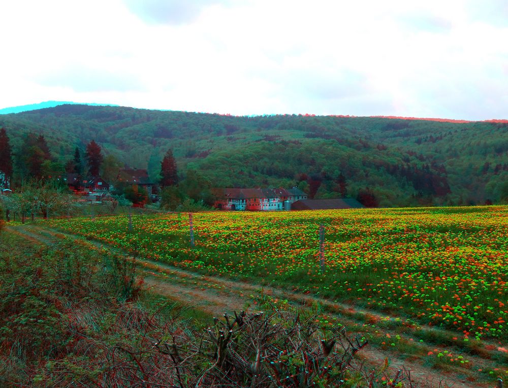 Hof Häusel bei Eppstein im Taunus