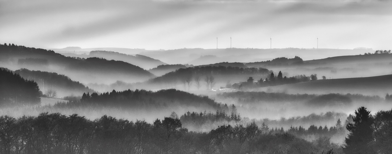 Hof im Morgennebel