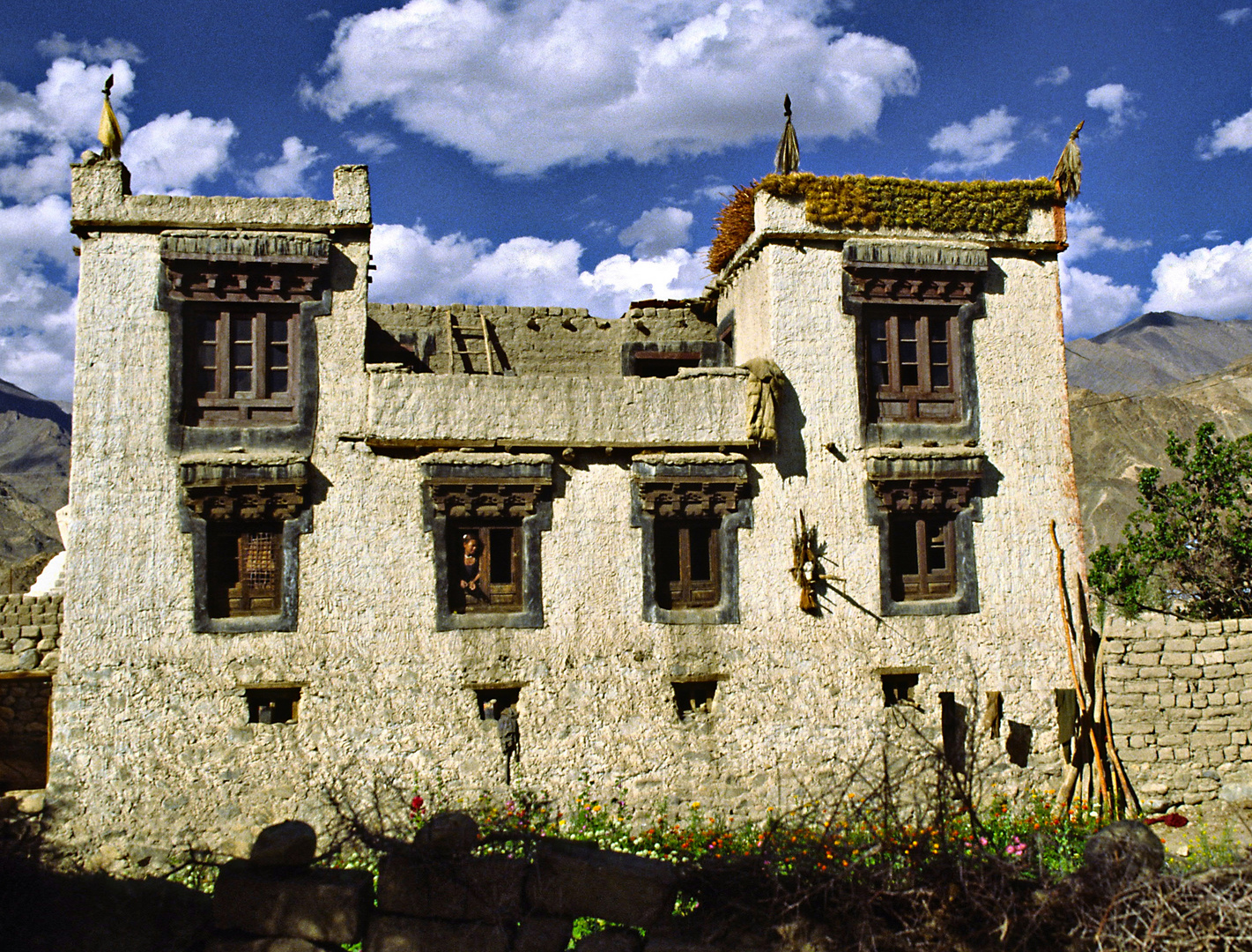 Hof in  Ladakh 