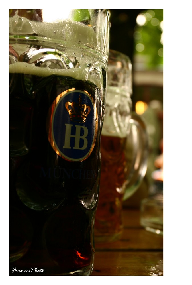 °°Hofbräu°°