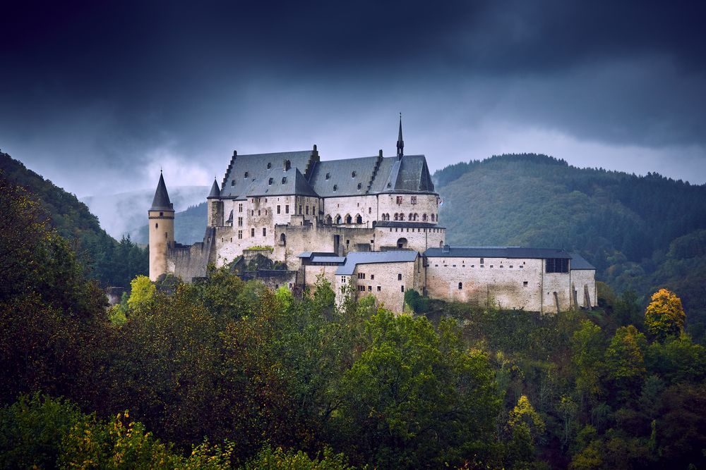 Hofburg im Regen