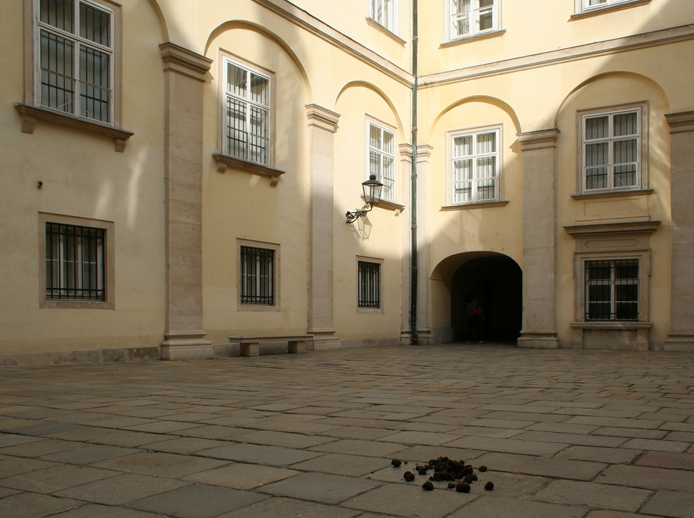 Hofburg, Schweizerhof