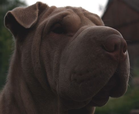 hoffe das ist besser