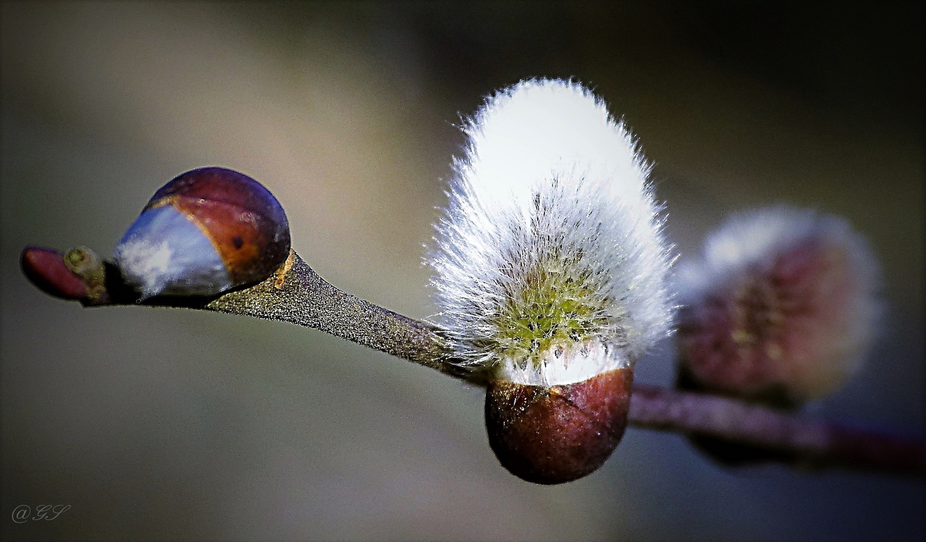 Hoffen auf den Frühling