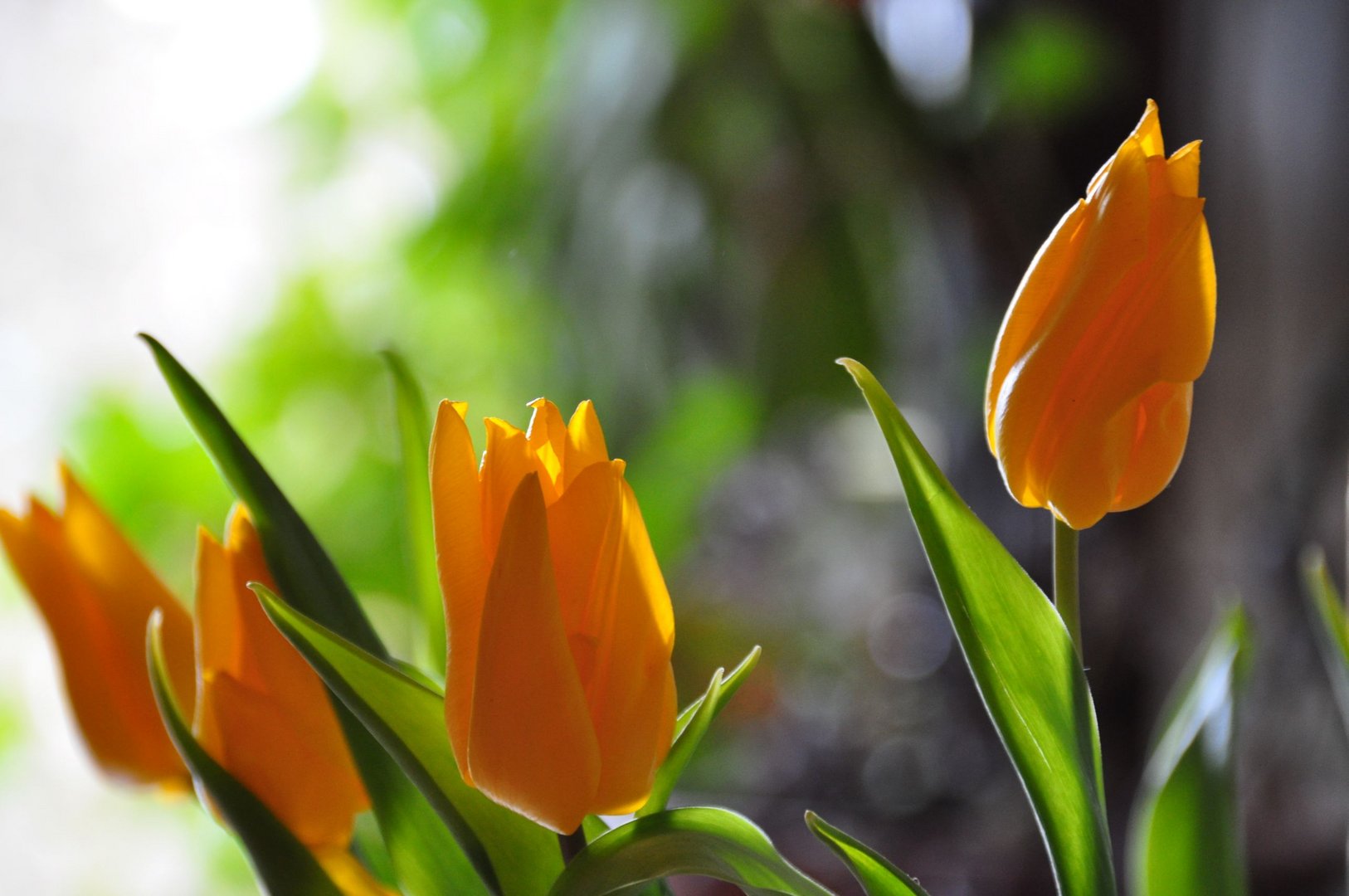 Hoffen auf den Frühling