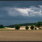 Hoffen auf den Regen