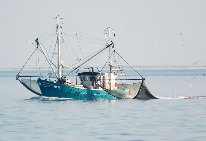 Hoffen auf einen guten Fang, Krabbenfischer in der Meldorfer Bucht