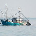 Hoffen auf einen guten Fang, Krabbenfischer in der Meldorfer Bucht