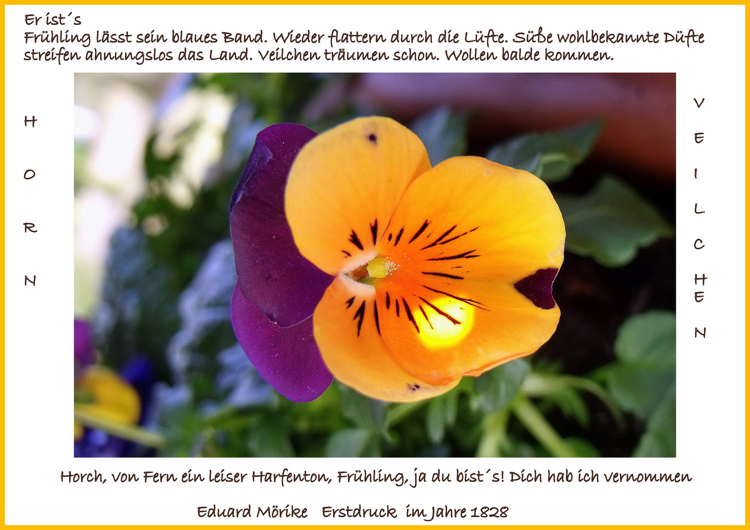 Hoffen auf Frühling