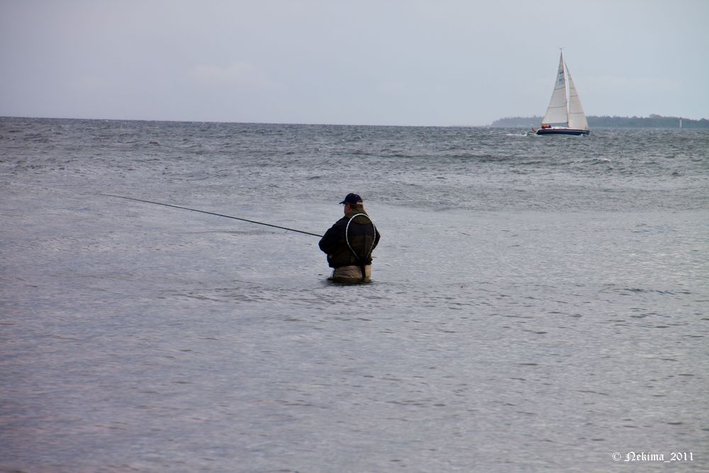 Hoffentlich beißen die Fische nicht... ;-)