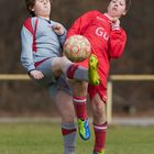 Hoffentlich beißt der Ball nicht!