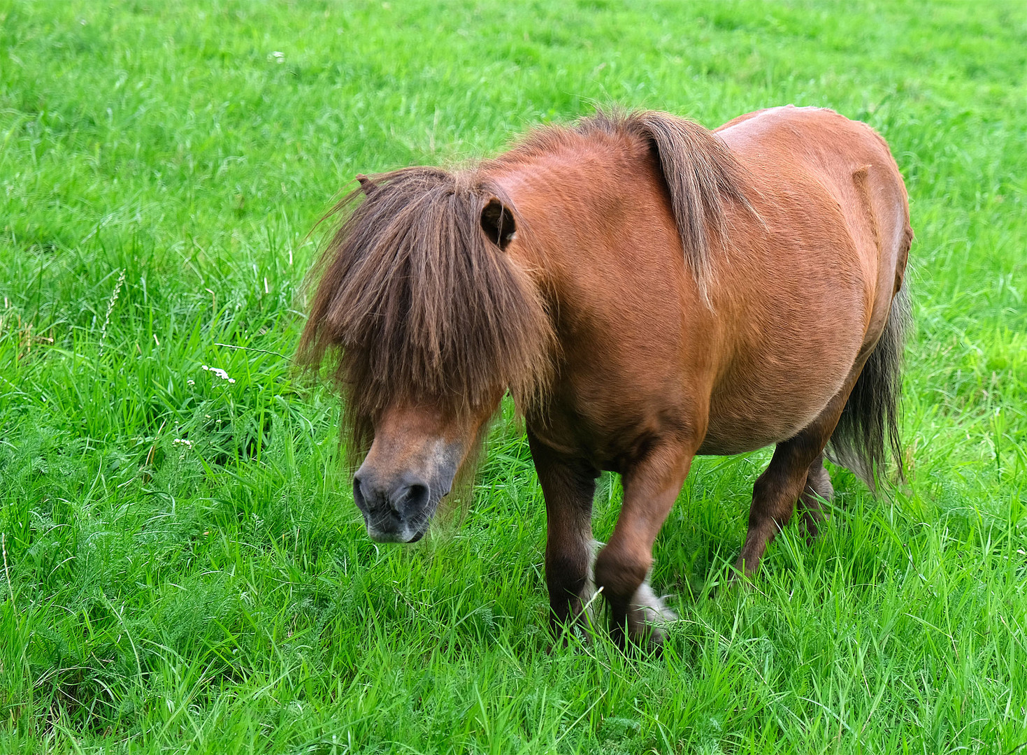 Hoffentlich bekomme ich bald einen Termin ...