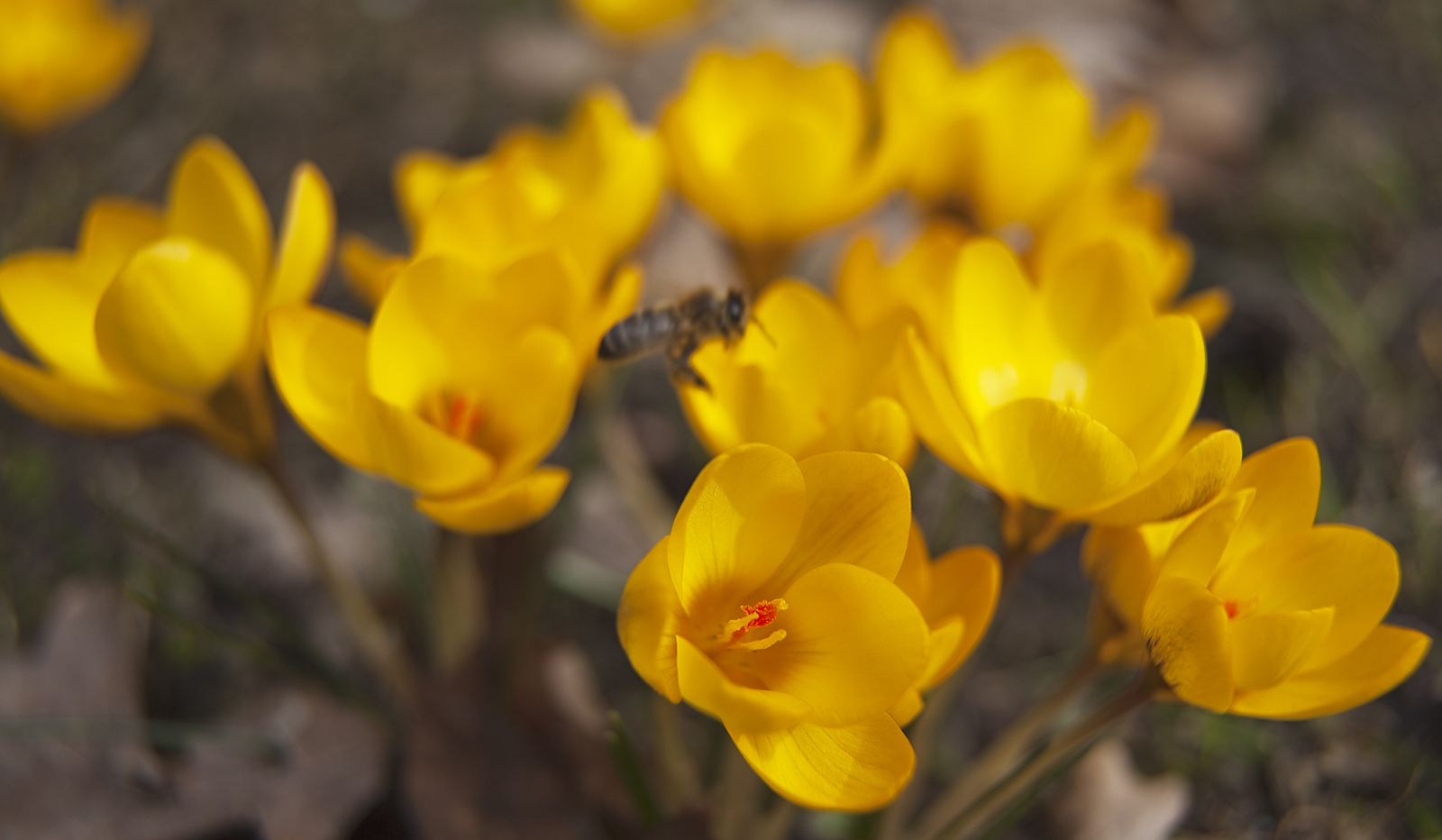 Hoffentlich bleibt der Frühling etwas länger.