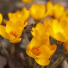 Hoffentlich bleibt der Frühling etwas länger.