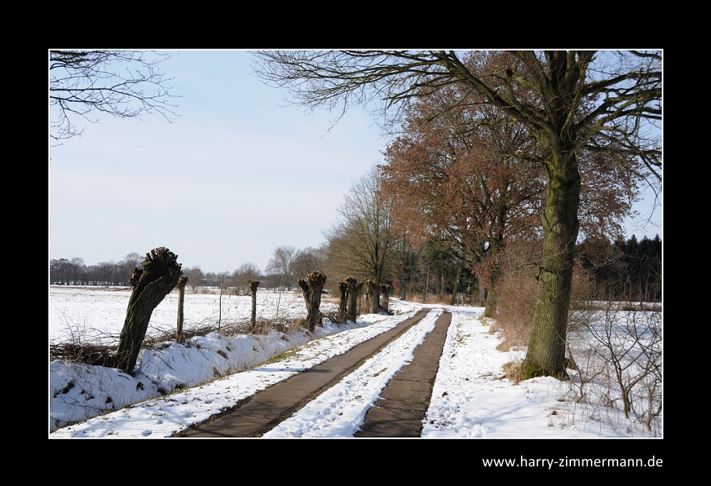 Hoffentlich der letzte Schnee