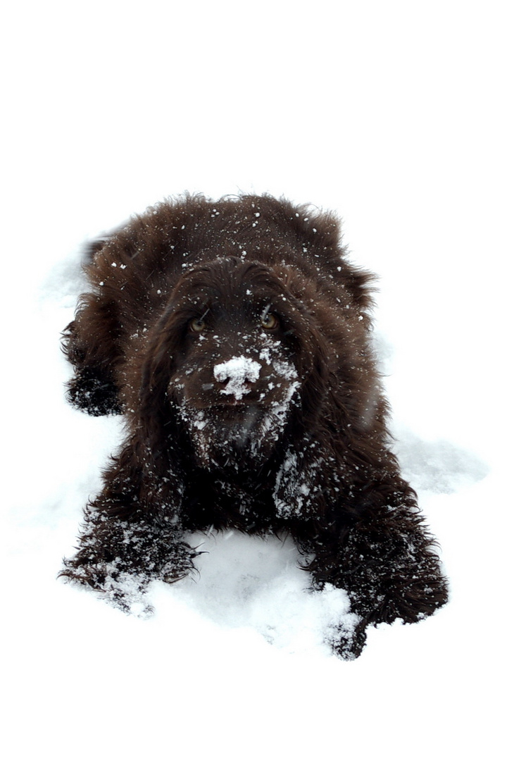 Hoffentlich der letzte Schnee