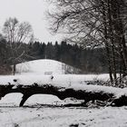 Hoffentlich ein Blick zurück ...