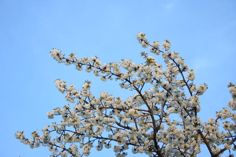 hoffentlich gibts bald wieder Frühling