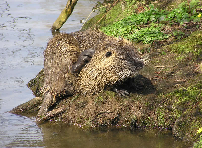 hoffentlich hab ich keine wasserallergie :-)