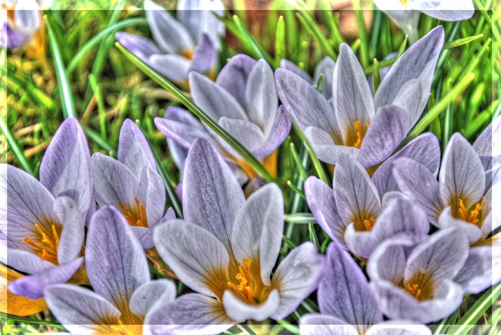 ...hoffentlich kommt er bald... der Frühling