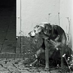 [ Hoffentlich kommt keiner ]