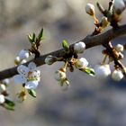 hoffentlich überstehn sie die Kälte