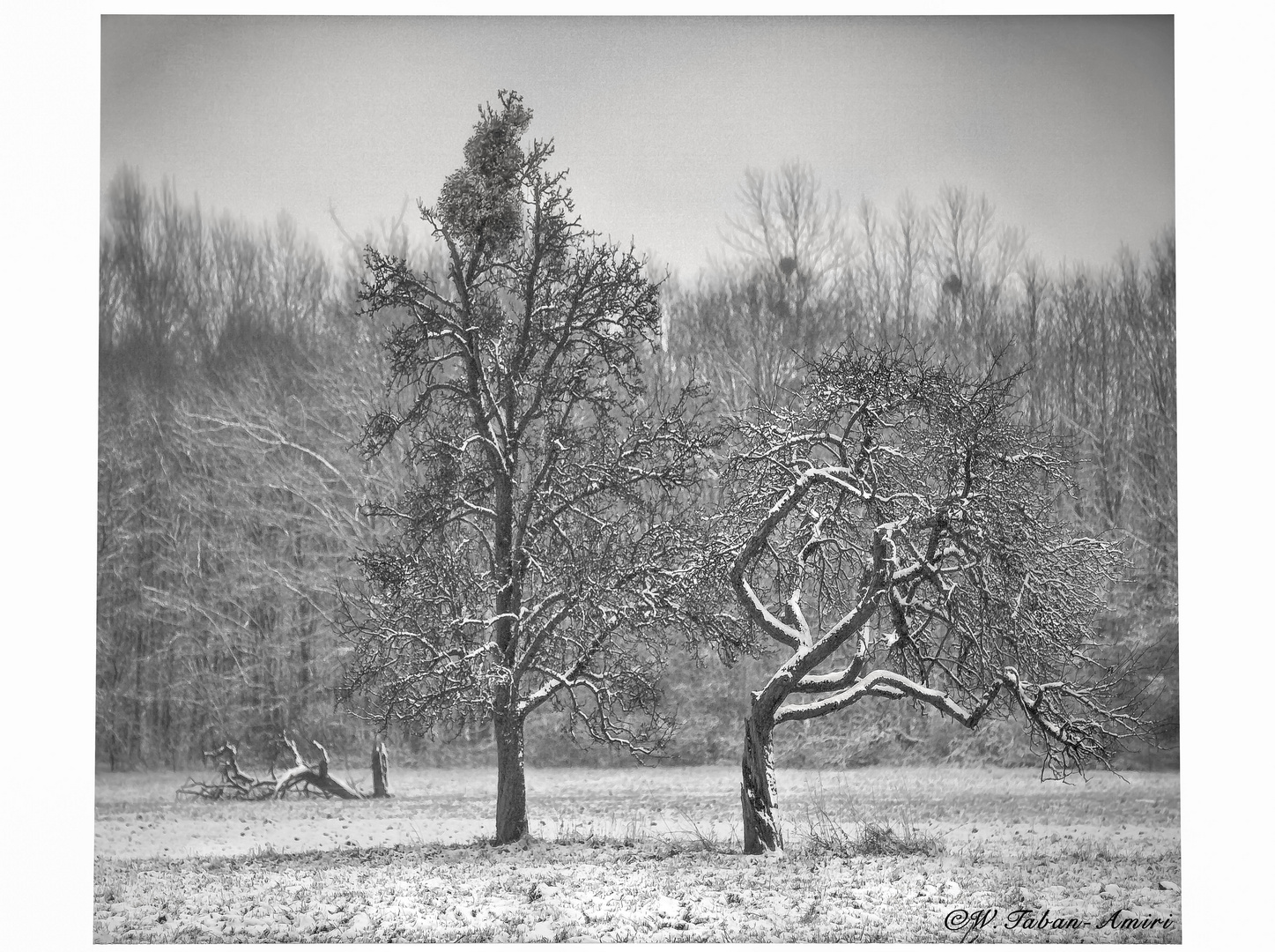 Hoffentlich übersteht er den Winter!