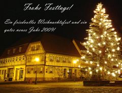 "Hoffinger" - Weihnachtsbaum 2008